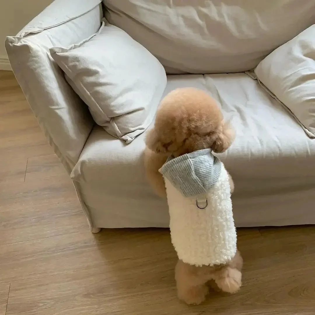 Pet Fashion Delight: Winter Warm Two-Legged Dog Costume with Hat and Coat - Stylish Cotton Clothes for Small to Medium Dogs, Ideal for Chihuahua Puppies